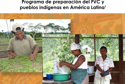 Resumen de políticas: Programa de preparación del FVC y pueblos indígenas en América Latina